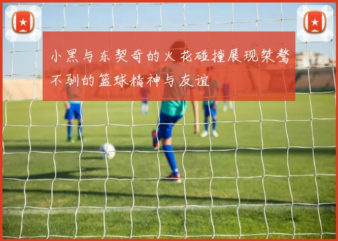 小黑与东契奇的火花碰撞展现桀骜不驯的篮球精神与友谊